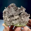 specimen video