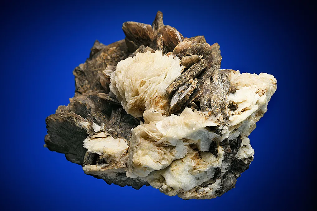 Axinite with Albite var. Cleavelandite - image 4