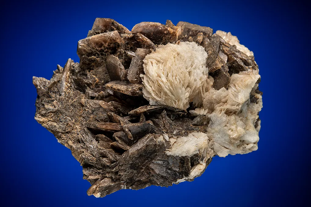 Axinite with Albite var. Cleavelandite image