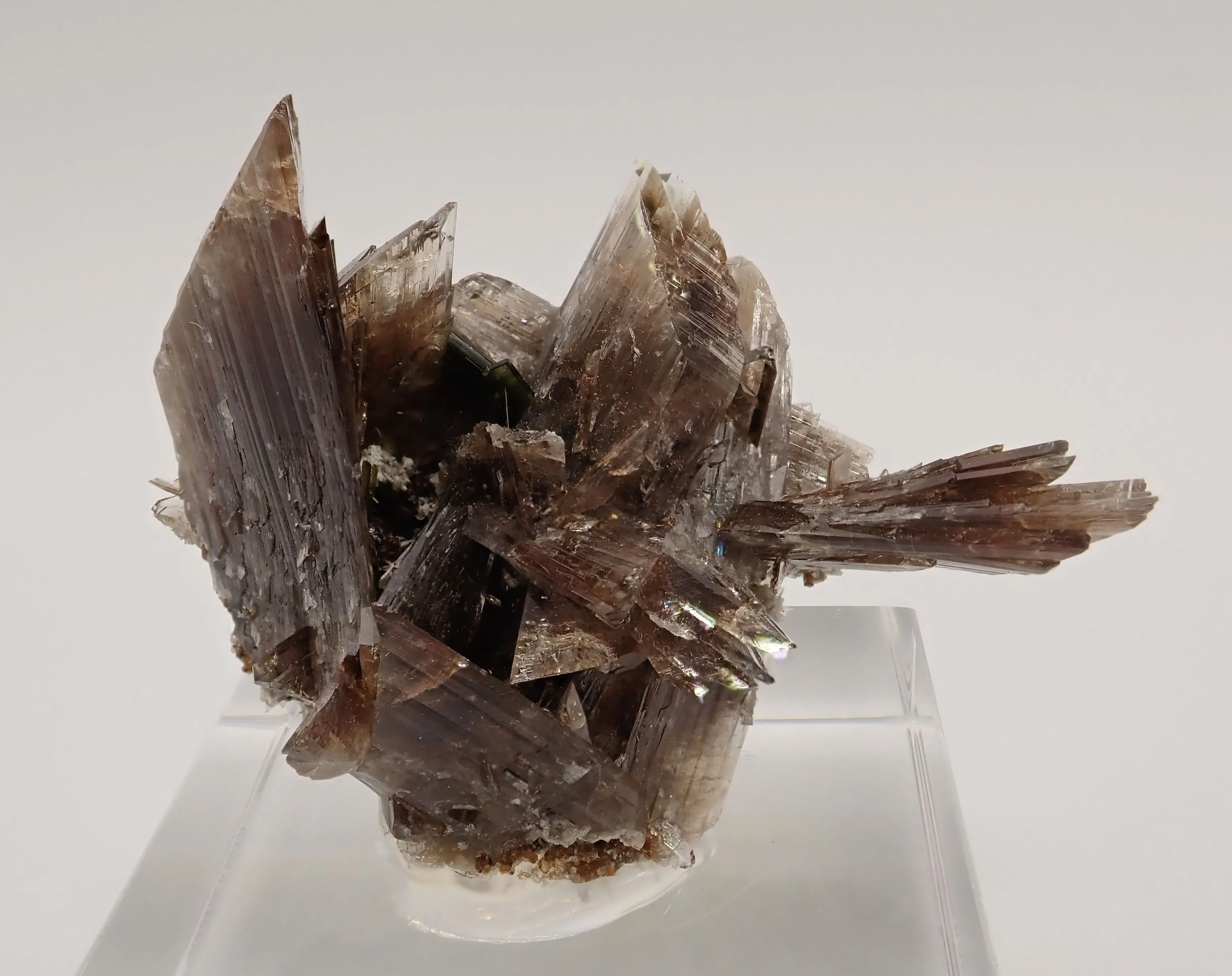 Axinite with Epidote - image 1