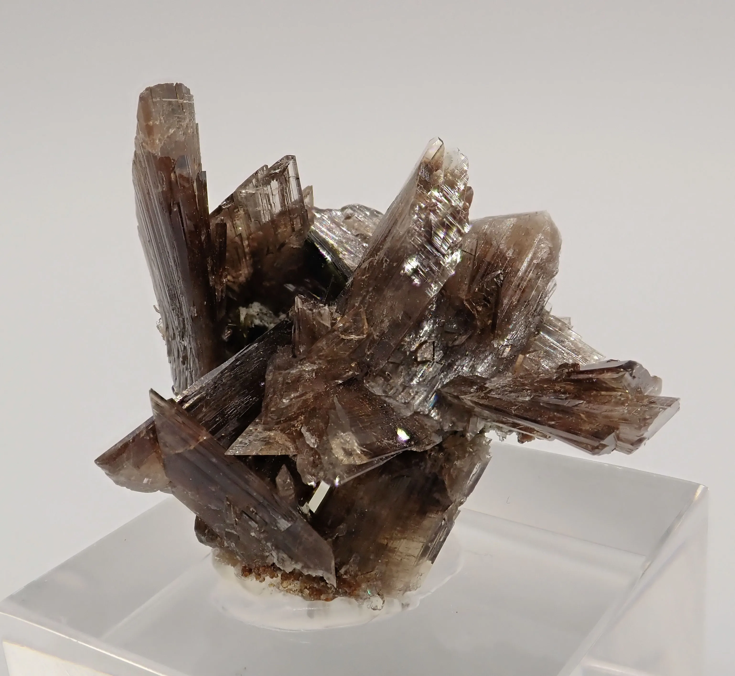 Axinite with Epidote - image 3