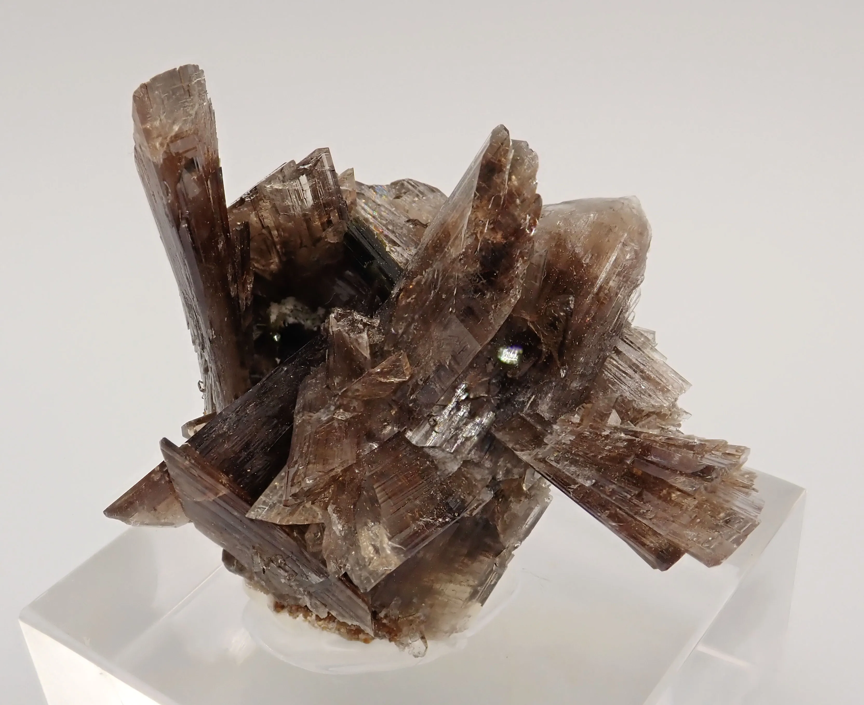 Axinite with Epidote - image 2