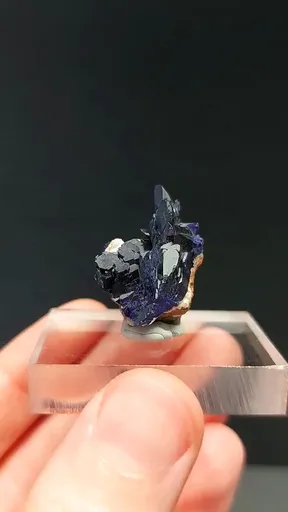 specimen video