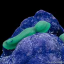 Azurite and Malachite - image 4