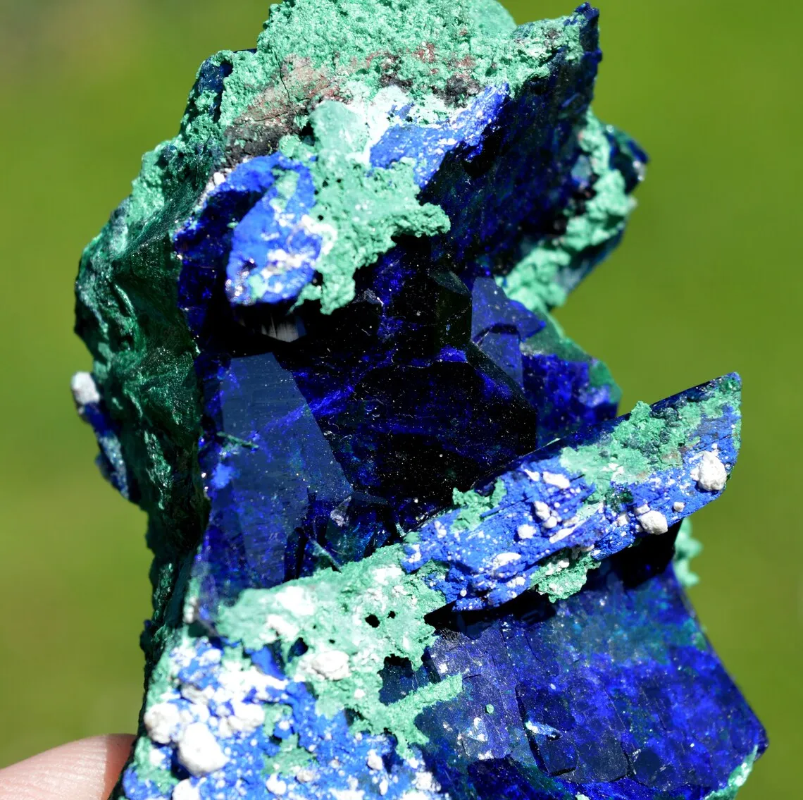 Azurite and Malachite Dickite - 167 grams - Milpillas Mine, Municipio de Cananea, Sonora, Mexico - image 3