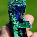 Azurite and Malachite Dickite - 167 grams - Milpillas Mine, Municipio de Cananea, Sonora, Mexico - image 10