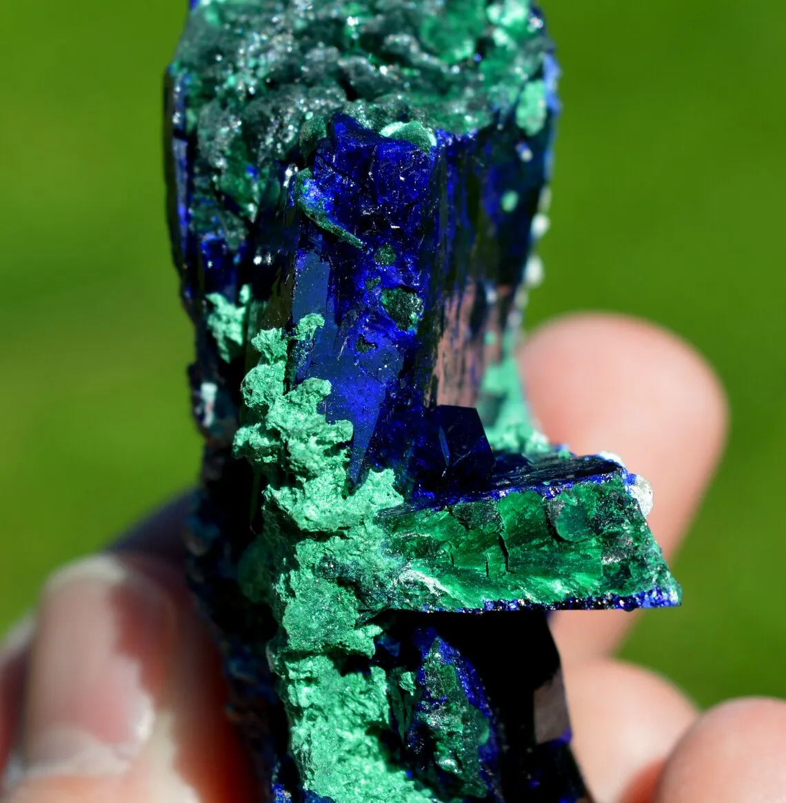 Azurite and Malachite Dickite - 167 grams - Milpillas Mine, Municipio de Cananea, Sonora, Mexico - image 10