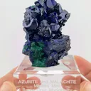 Azurite and Malachite from Milpillas Mine - image 2