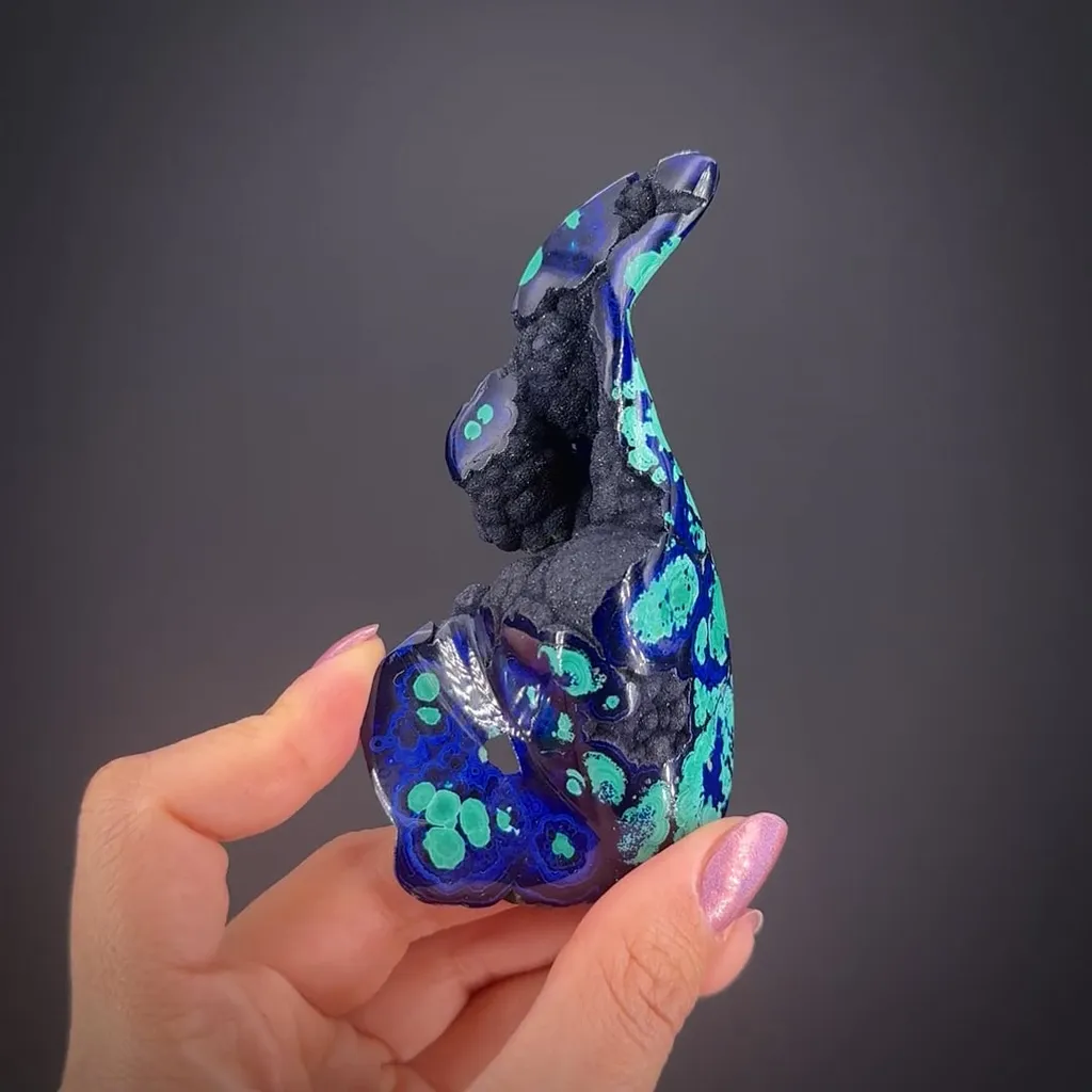 Azurite and Malachite with Azurite pocket (late 1800s) image