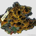 Azurite and Malachite, with Malachite ps. Cuprite - circa early 1900s - image 4