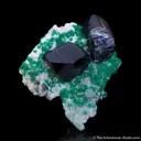 Azurite and Tsumebite (TL), on Smithsonite (illustrated) - image 2