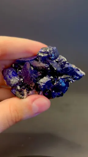 specimen video