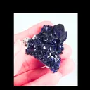 specimen video