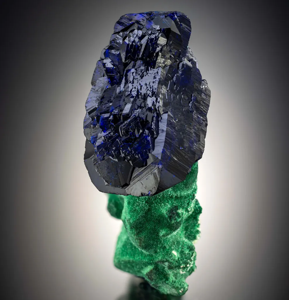 Azurite (doubly terminated) on Malachite image