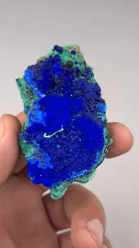 specimen video