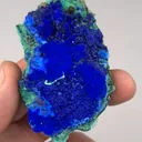 specimen video