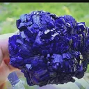 specimen video