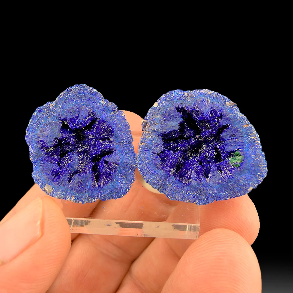 Azurite from Blue Ball Mine, Globe, Arizona, USA image