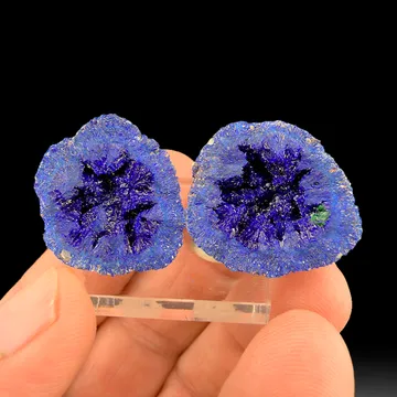 Azurite from Blue Ball Mine, Globe, Arizona, USA
