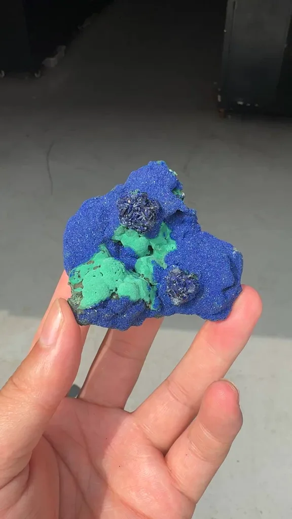 specimen video