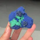 specimen video
