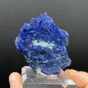 specimen video