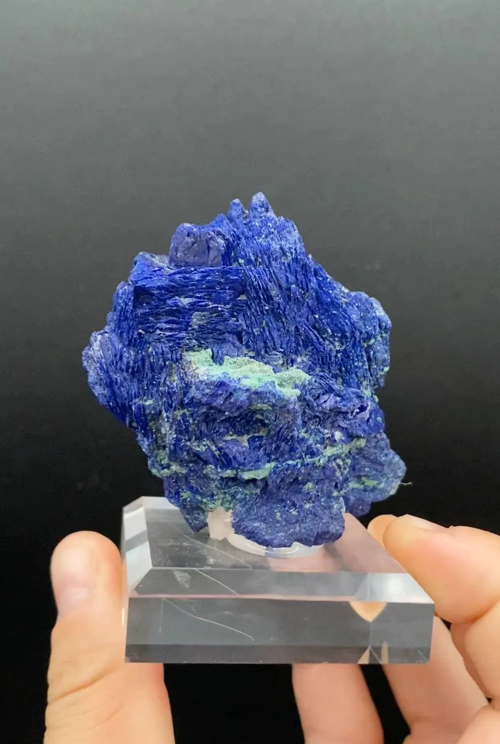 specimen video