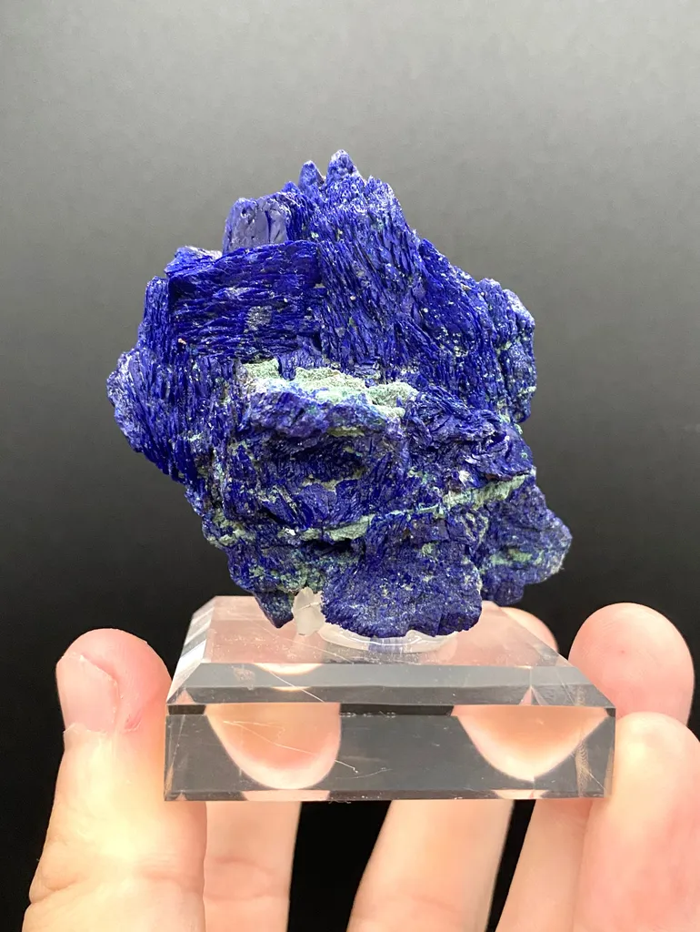 Azurite from DR Congo, Lualaba, Mutshatsha, Sicomines copper-cobalt project, Mashamba West Mine image