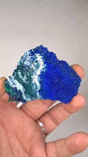 specimen video