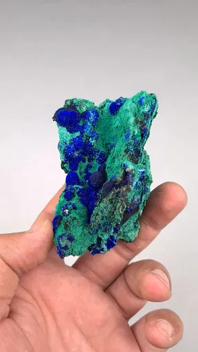 specimen video