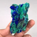 specimen video