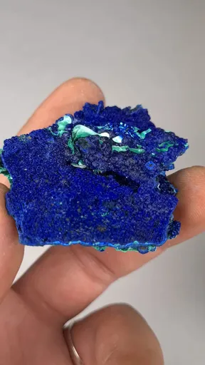 specimen video