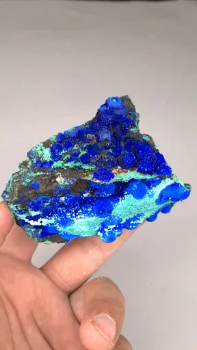 specimen video