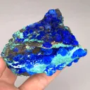 specimen video