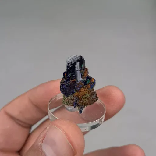 specimen video