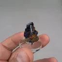 specimen video