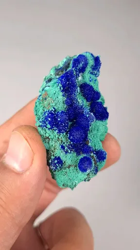 specimen video