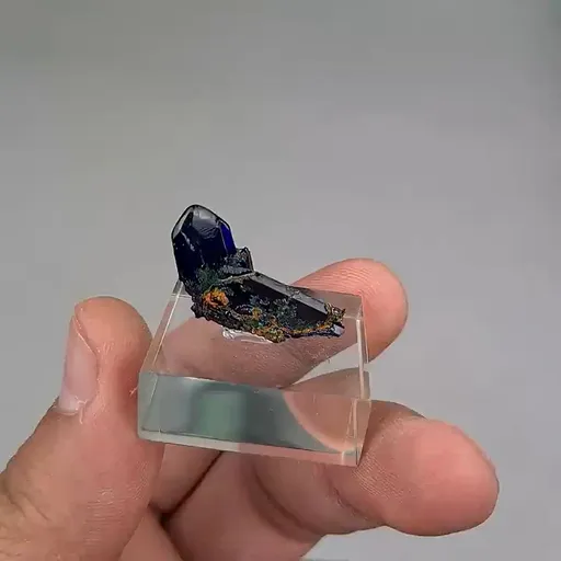 specimen video