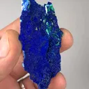 specimen video
