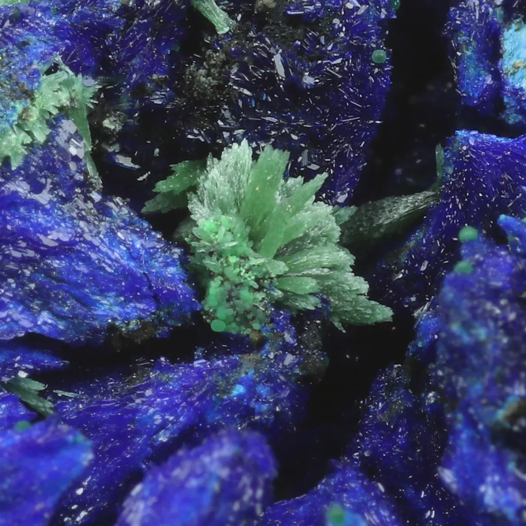 Azurite from Greece, Attica, Christiana Mine image