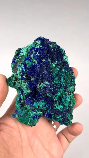 specimen video