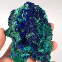 specimen video