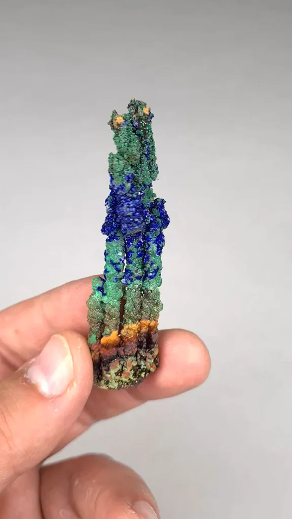 specimen video