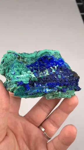 specimen video