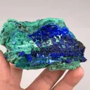 specimen video
