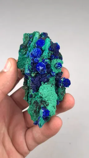 specimen video