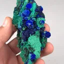 specimen video