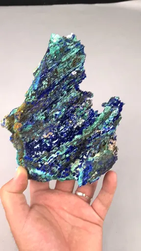 specimen video