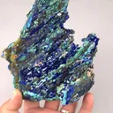 specimen video