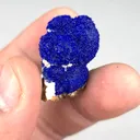 specimen video